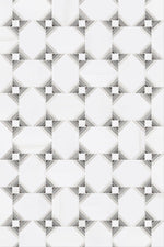 Dolomite White Oak Marble Polished Mosaic Tile - TILE & MOSAIC DEPOT