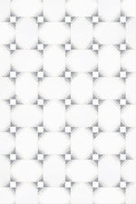 Thassos White Carrara White Bardiglio Marble Special Polished Mosaic Tile - TILE & MOSAIC DEPOT