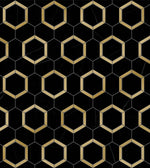 Nero Marquina Marble Hexagon Brass Mosaic Tile - TILE & MOSAIC DEPOT