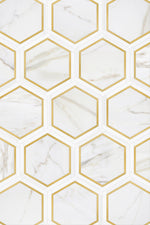 Calacatta Gold Marble Brass Honed Large Hexagon Mosaic Tile - TILE & MOSAIC DEPOT