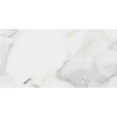 Calacatta Gold Marble 12x24 Honed Tile - TILE AND MOSAIC DEPOT