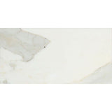 Calacatta Gold Marble 6x12 Honed Marble Tile - TILE AND MOSAIC DEPOT
