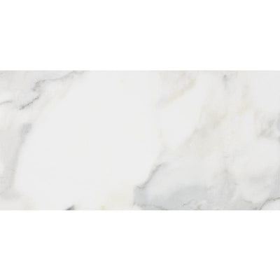 Calacatta Gold Marble 3x6 Honed Tile - TILE AND MOSAIC DEPOT