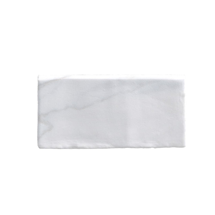 Carrara 3x6
