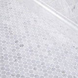 White Carrara Marble Penny Round Honed Mosaic Tile - TILE AND MOSAIC DEPOT