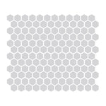 Gray 1″ Hexagon Glossy