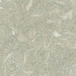 Seagrass Limestone 6x6 Honed Tile - TILE AND MOSAIC DEPOT