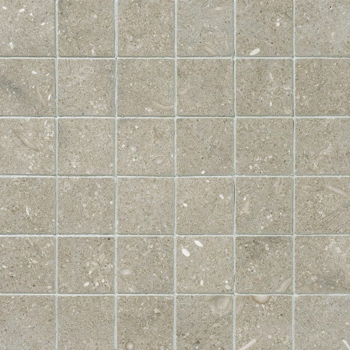 Seagrass Limestone 2x2 Honed Mosaic Tile - TILE AND MOSAIC DEPOT