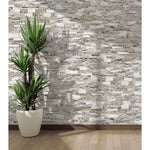Silver Secil White 6x24 Stacked Stone Ledger Panel.
