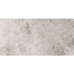 Silver Sky Marble 12x24 Honed Tile - TILE & MOSAIC DEPOT