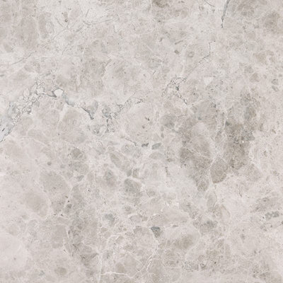 Silver Sky Marble 24x24 Polished Tile - TILE AND MOSAIC DEPOT