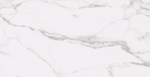 STATUARY WHITE 12X24 R UP.