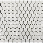 Thassos White Marble 1x1 Hexagon Polished Mosaic Tile - TILE AND MOSAIC DEPOT