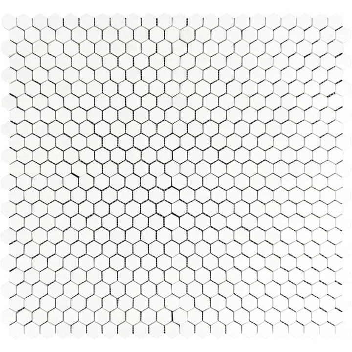 Thassos White Marble 1x1 Hexagon Honed Mosaic Tile - TILE AND MOSAIC DEPOT