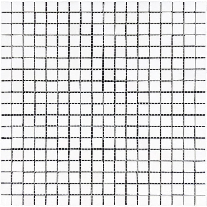Thassos White Marble 1x1 Polished Mosaic Tile - TILE AND MOSAIC DEPOT