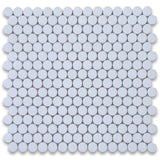 Thassos White Marble Penny Round Honed Mosaic Tile - TILE AND MOSAIC DEPOT