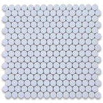 Thassos White Marble Penny Round Polished Mosaic Tile - TILE AND MOSAIC DEPOT